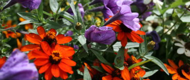 Our Mission & Vision